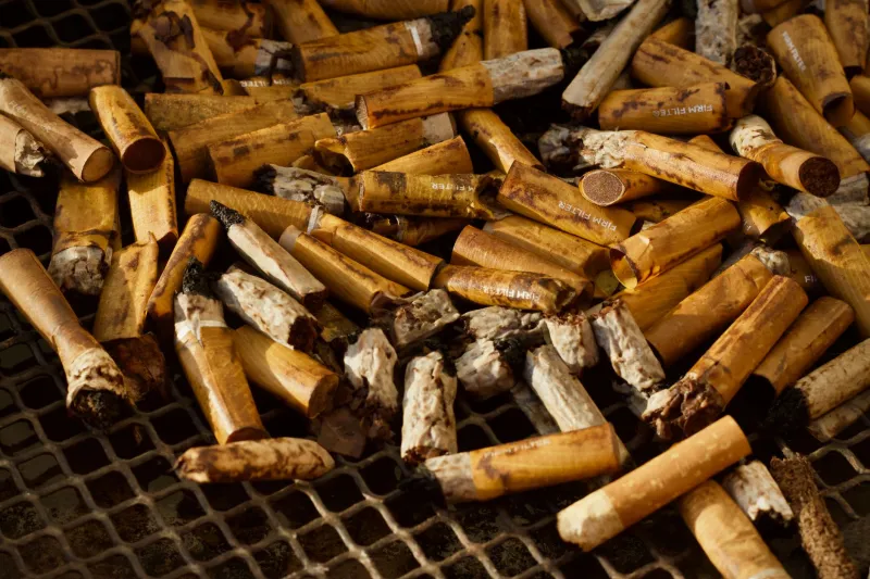 What's Really Growing Inside Your Oven — And Why It Matters More Than You Think
